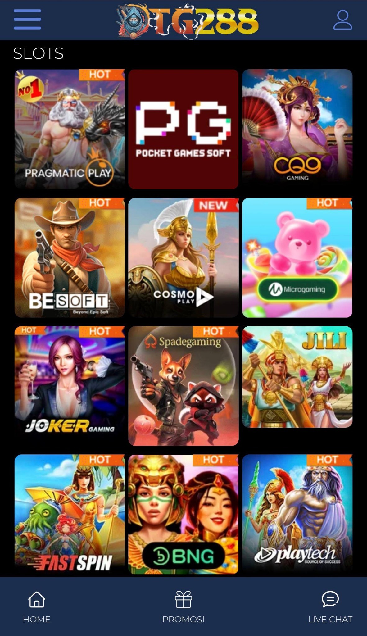 Preview slots DTG288