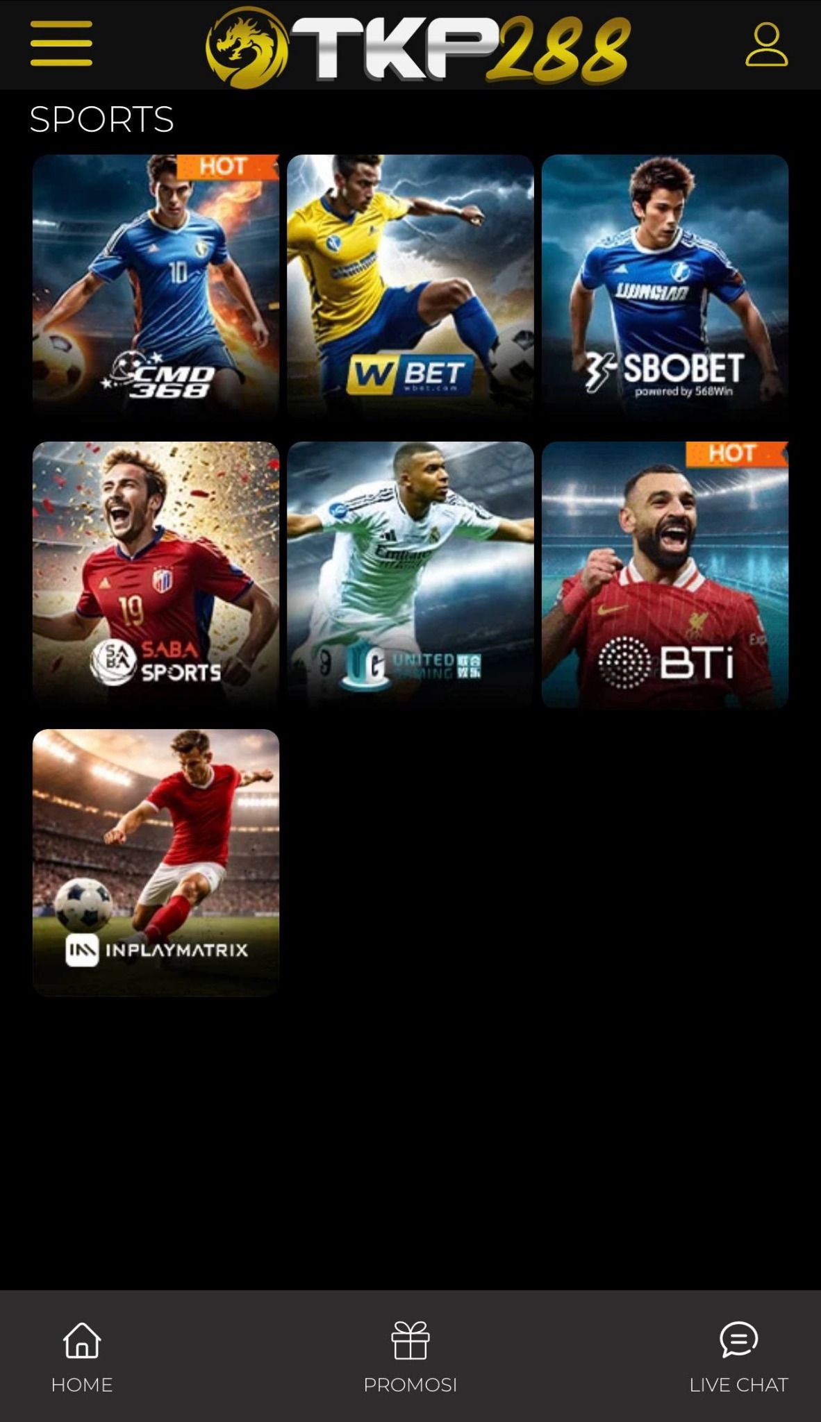 Preview sports TKP288